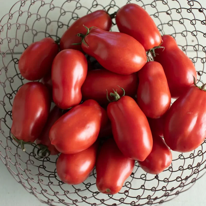 SAN MARZANO KG