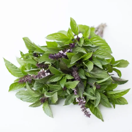 Cinnamon Basil 100 Gram
