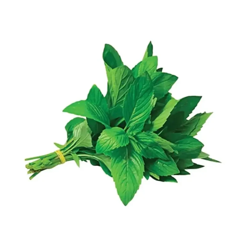 MINT 100 Gram