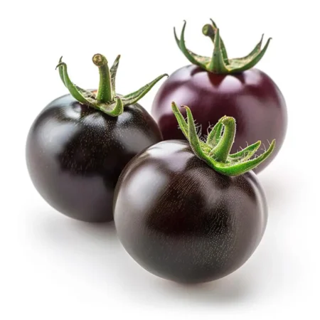 BLACK CHERRY (BOX 250 Grams)