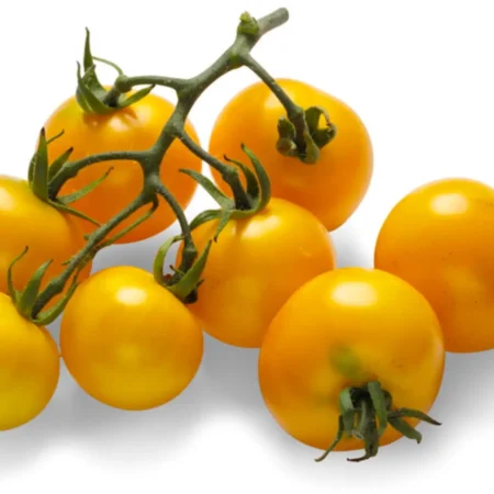 SUNSHINE DROP(BOX 250 Grams)