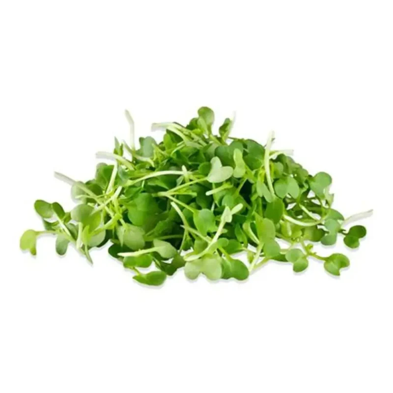 MICROGREEN MUSTARD